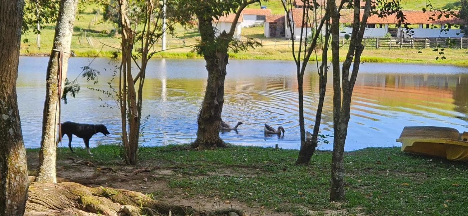 Fazenda Nova América Inn *