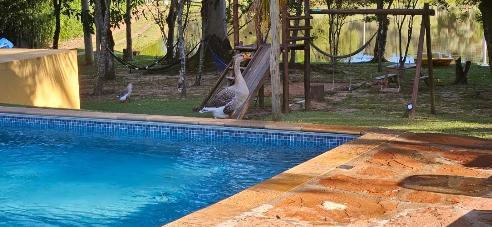 Fazenda Nova América Brotas